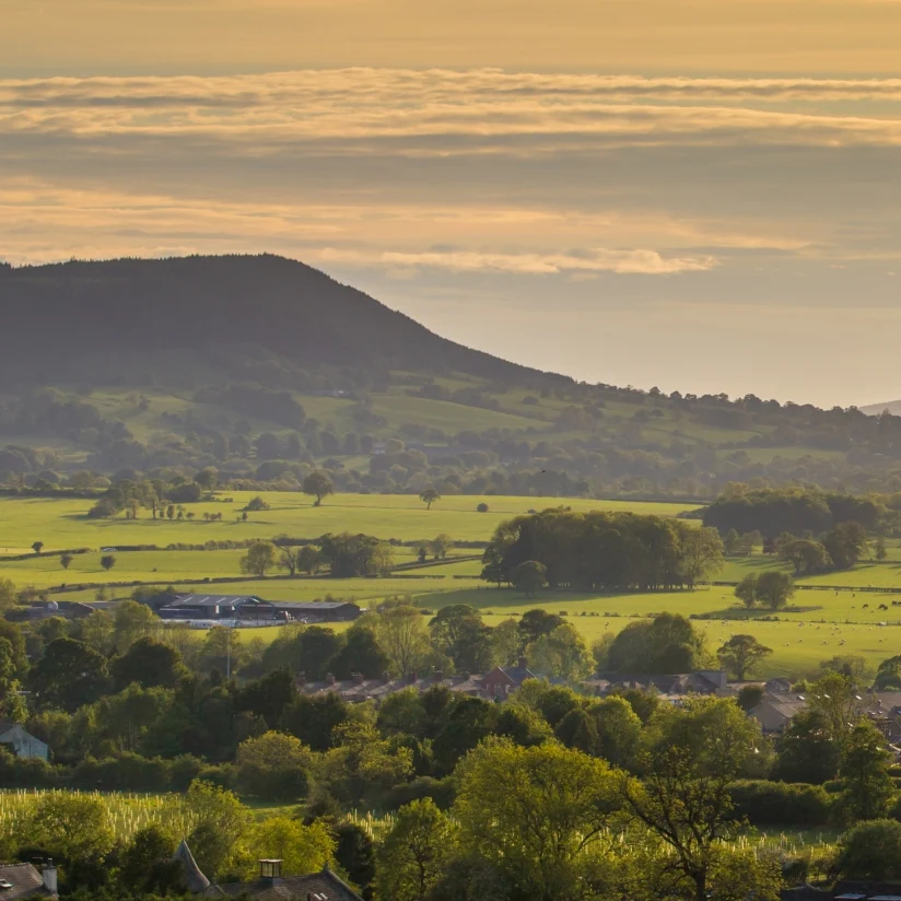 Pendle hill